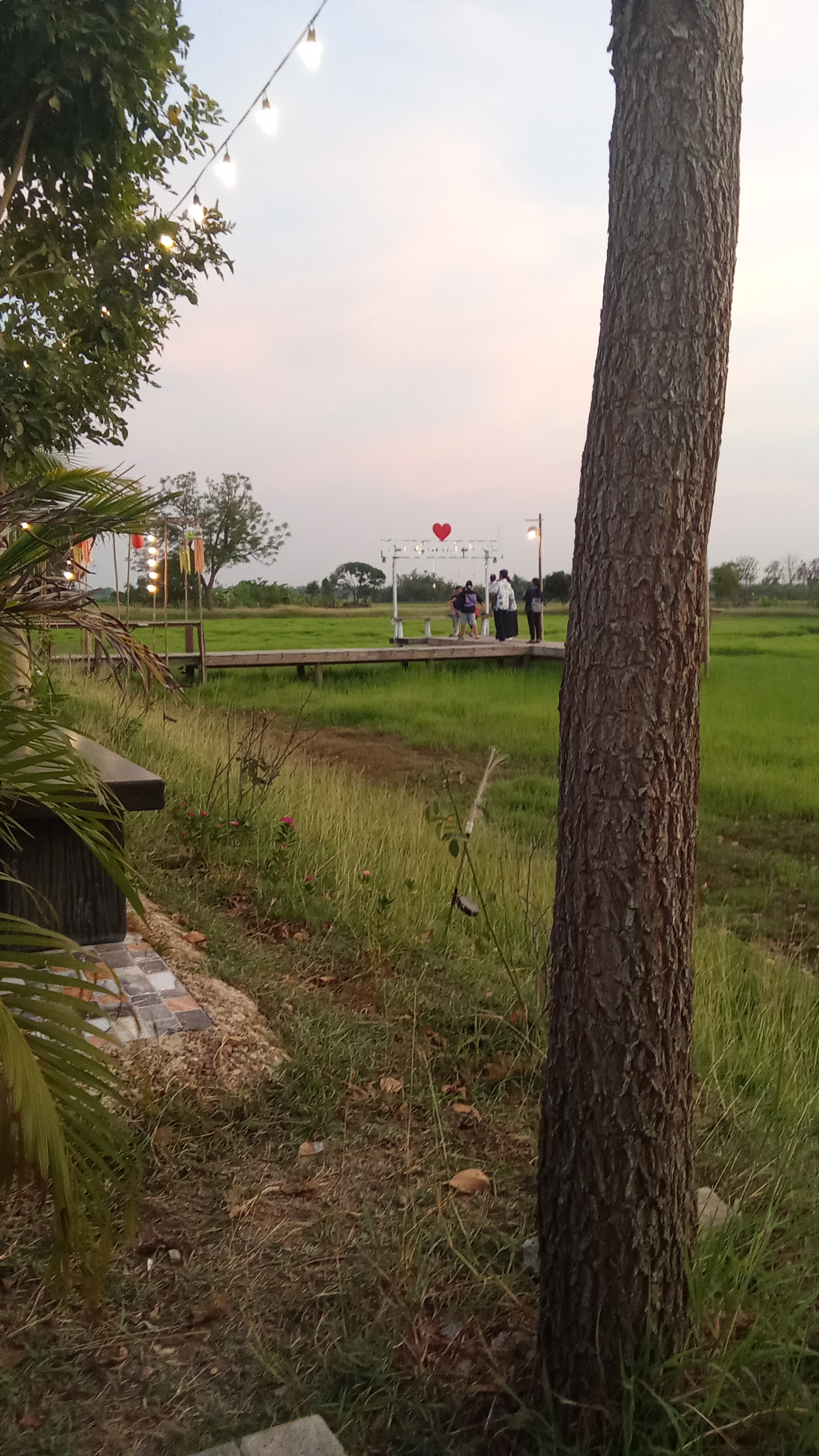 คาเฟ่